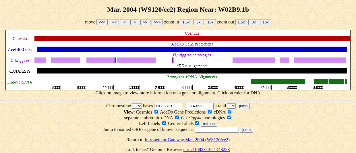 The Intronerator track display for C. elegans, showing cosmids, AceDB
            gene predictions, C. briggsae homologies, and cDNA/EST alignments as
            horizontal tracks over a genomic ruler